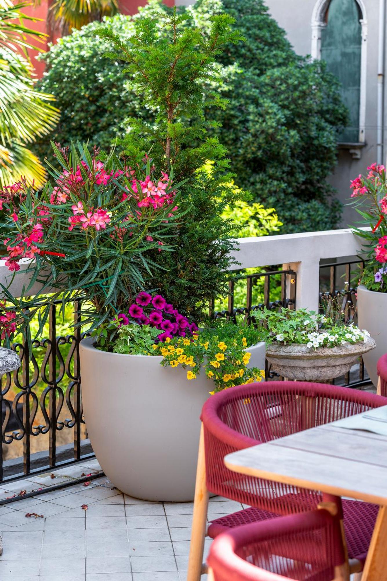 Apartment San Barnaba Palace R&r Venedig